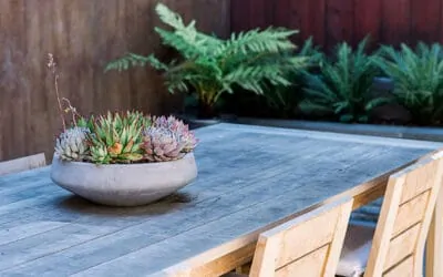 Dining Room Movie Set